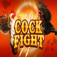 Animal Themed - Cock Fight Slot Machine