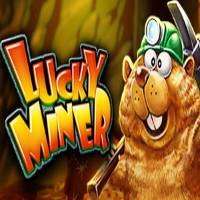 Animal Themed - Lucky Miner Slot Machine