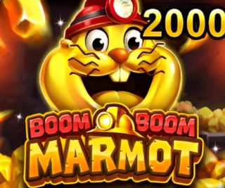YB Boom Boom Marmot