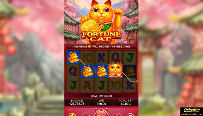 Fortune Cat Big Win