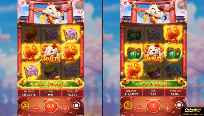 Lucky Meow Big Win Lucky Meow Big Win