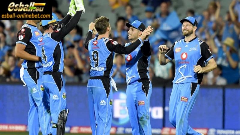 Adelaide Strikers: T20 Excellence and Glory in BBL History