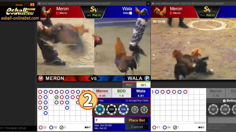 How to Play Cockfight Online Game SV888 Sapong Betting Guide How to Play Cockfight Online Game SV888 Sapong Betting Guide
