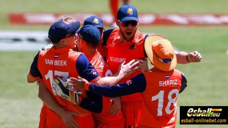 CWC 2023 Netherlands Cricket Team Orange on the Pitch