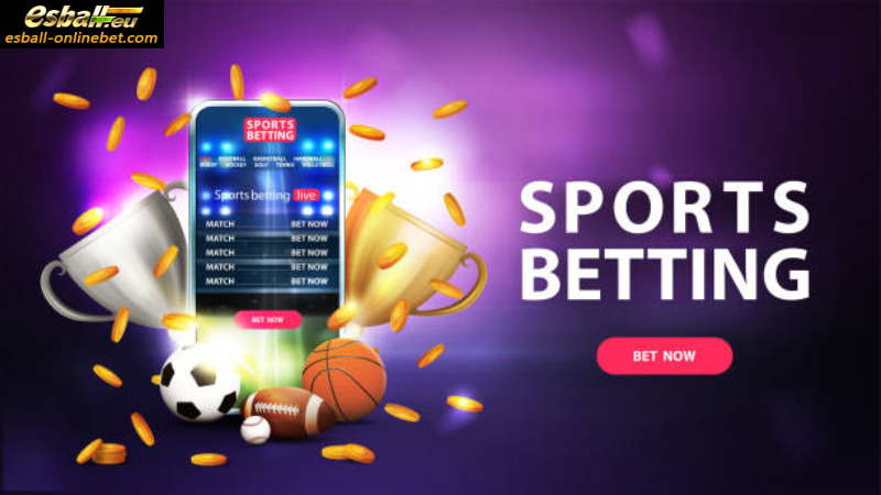 How To Win IPL Betting? Tips For Winning IPL Betting