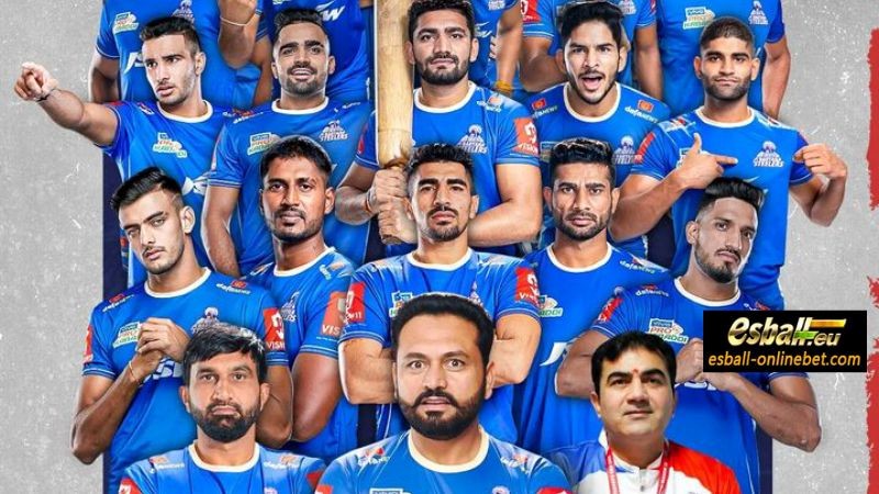 All India Pro Kabaddi Team Detailed Introduction