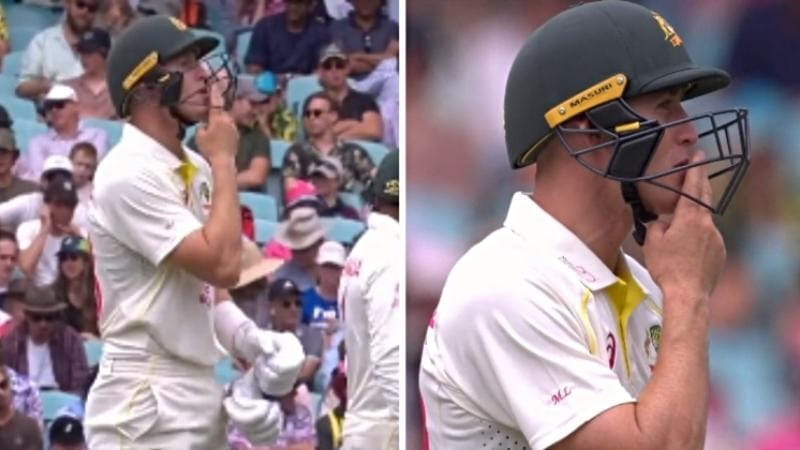 Marnus Labuschagne’s Controversial Catch