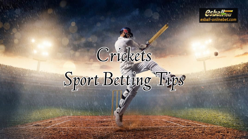 10 Crickets Sport Betting Tips You Must Know About