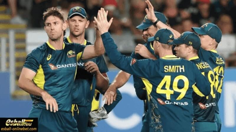 Key Players for the Australia Cricket World Cup Team Key Players for the Australia Cricket World Cup Team